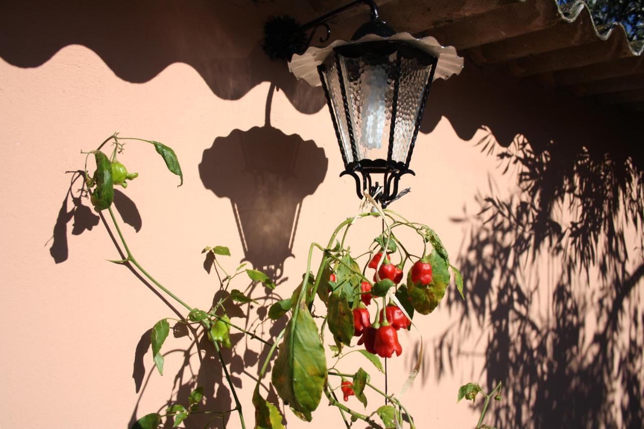 Villa La Casa Di Sara Pula Exterior foto